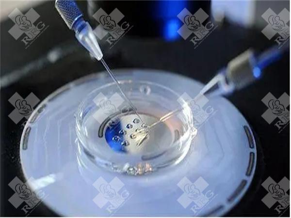 重庆试管婴儿成功率有50%吗?高龄做试管需要花费多少钱