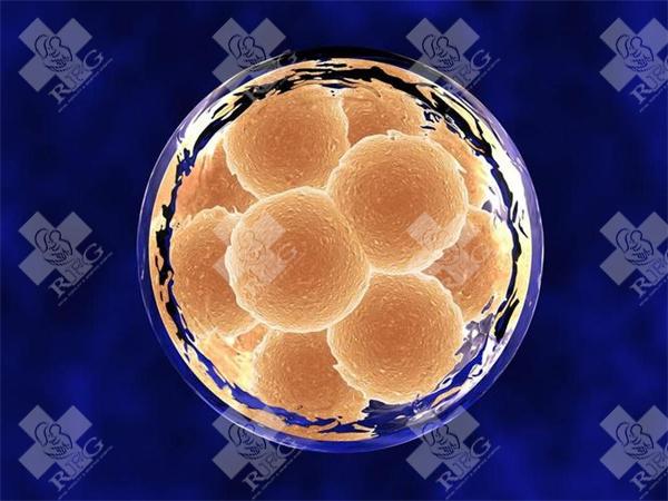 2025年南平做三代试管婴儿的费用标准?福建三代试管大概费用?